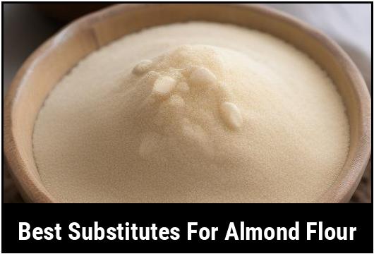 best substitutes for almond flour