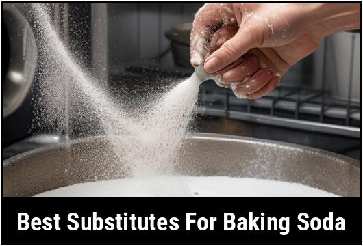best substitutes for baking soda