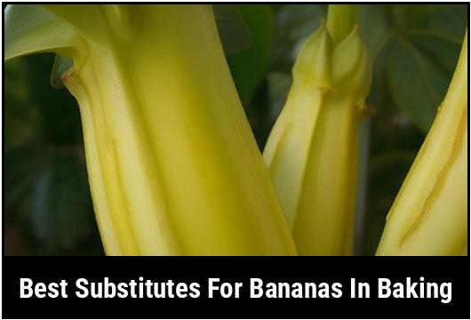 best substitutes for bananas in baking