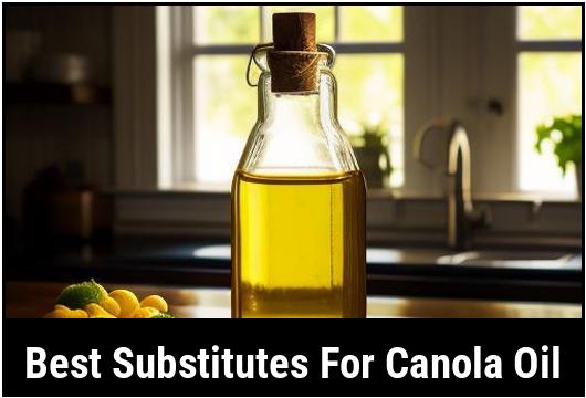 best substitutes for canola oil