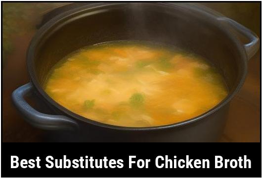best substitutes for chicken broth
