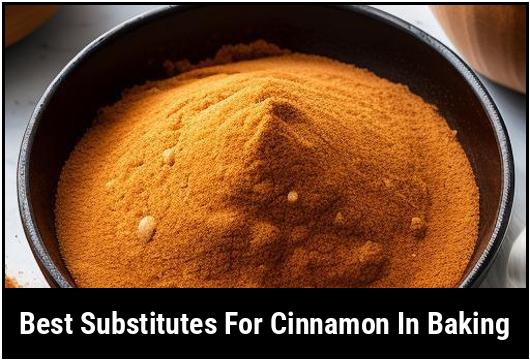 best substitutes for cinnamon in baking