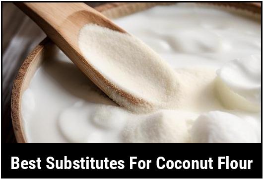 best substitutes for coconut flour