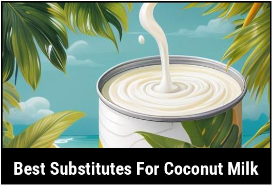 best substitutes for coconut milk
