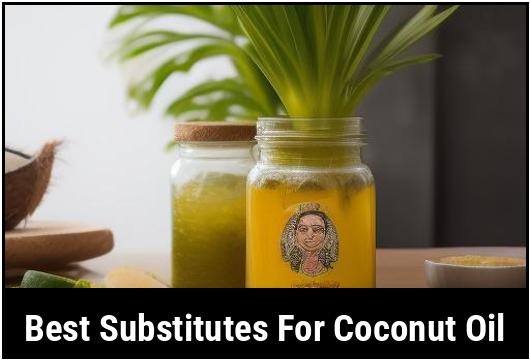 best substitutes for coconut oil