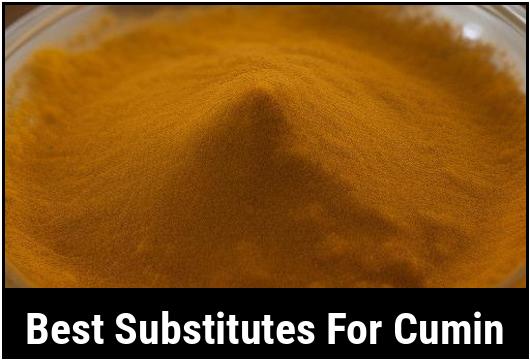 best substitutes for cumin
