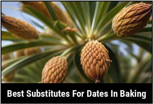 best substitutes for dates in baking