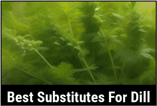 best substitutes for dill