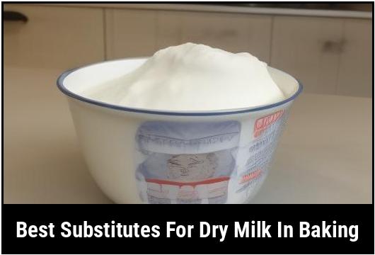 best substitutes for dry milk in baking