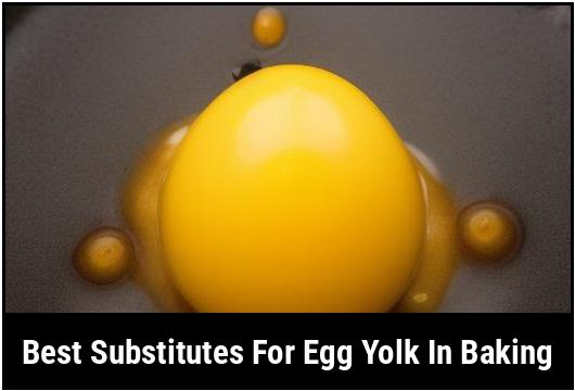 best substitutes for egg yolk in baking
