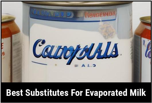 best substitutes for evaporated milk