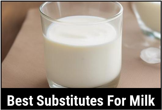 best substitutes for milk