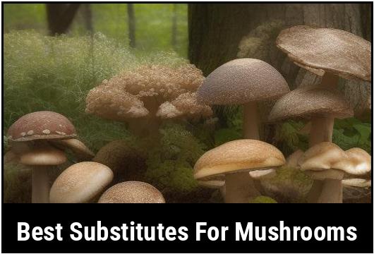 best substitutes for mushrooms