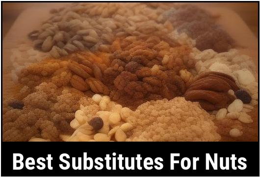 best substitutes for nuts