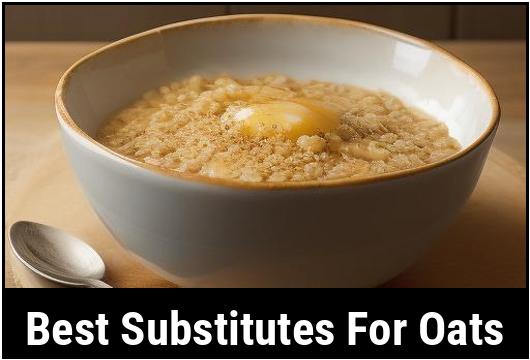 best substitutes for oats