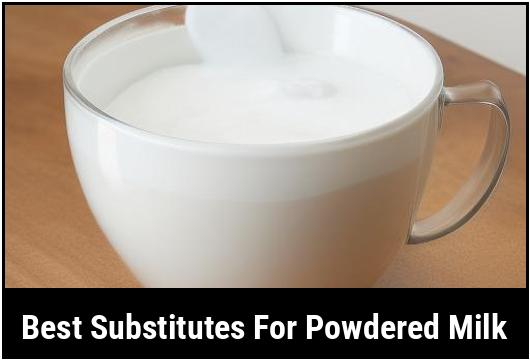 best substitutes for powdered milk