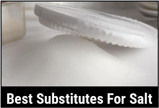 best substitutes for salt