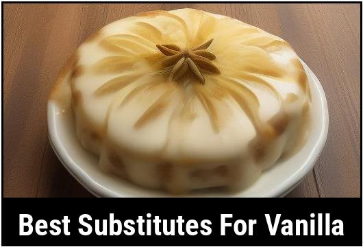 best substitutes for vanilla
