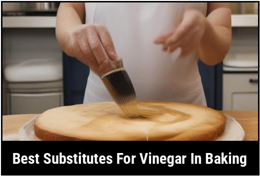 best substitutes for vinegar in baking
