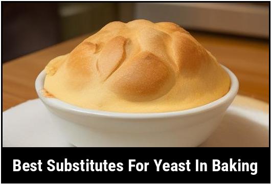 best substitutes for yeast in baking